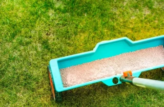 Organic Lawn Care Methods for a Greener Yard